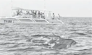  ??  ?? Tourists in an outrigger boat watch dolphins in the seas off Balicasag island in Bohol.