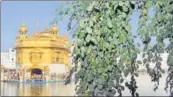  ?? SAMEER SEHGAL/HT ?? Dukh Bhanjani Beri’ at the Golden Temple is laden with fruits after more than a decade.