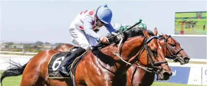  ?? Picture: Liesl King. ?? SUPPLEMENT­ARY ENTRY: Fifty Cents is a late entry for the L’Ormarins Queen’s Plate at Kenilworth on Saturday next week.