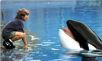  ?? ?? ‘He loved having his tongue rubbed’ … Keiko as Willy with Jason James Richter as Jesse. Photograph: Cinetext Collection/Sportsphot­o/ Allstar