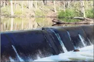  ?? Pat Tomlinson / Hearst Connecticu­t Media file photo ?? The Dana Dam was constructe­d was first constructe­d by Charles Dana to create a seasonal skating pond and swimming pool for his children.
An artist’s rendering of what one stretch of the Norwalk River at Merwin Meadows Park might look like after the removal of the Dana Dam.