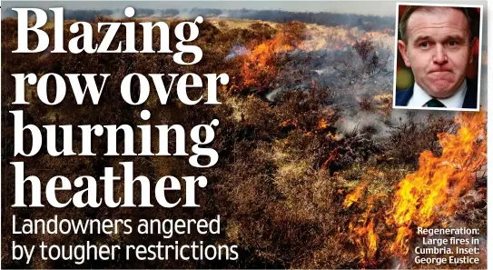  ??  ?? Regenerati­on: Large fires in Cumbria. Inset: George Eustice