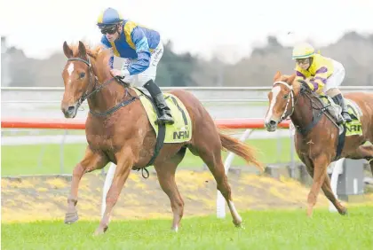  ?? Photo / Trish Dunell ?? Botti could start in an A$50,000 BenchMark 70 at Moe in Victoria tomorrow.