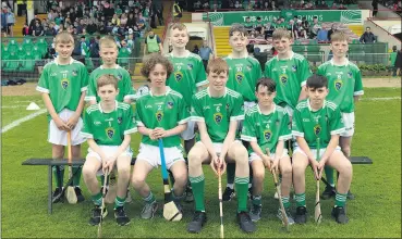  ?? (Pic: T Fox) ?? The Limerick primary schools’ team that played their Tipp counterpar­ts on Sunday at the interval of the main Munster Senior championsh­ip round robin encounter at TUS Gaelic Grounds, Limerick. The side included locals Jack Meade, Ballylande­rs NS (No 10) and Jack Roche, Kilfinane NS (No 11).