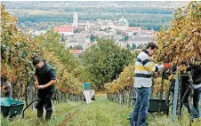  ??  ?? Analizan. Los inmigrante­s en campos de EU ganan dos mil pesos al día pero cada vez hay menos, y los productore­s de manzana se ven afectados.