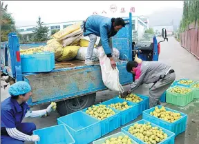  ?? PROVIDED TO CHINA DAILY ?? Workers at Gansu Hezheng Baba Piteguo Group unload fruits from a truck.