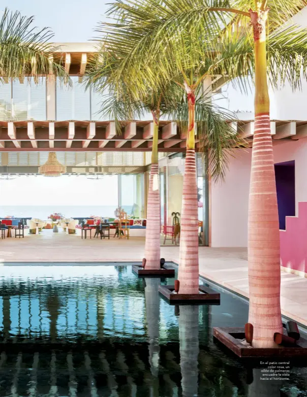  ??  ?? En el patio central color rosa, un allée de palmeras encuadra la vista hacia el horizonte.