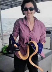  ??  ?? Dr Jenna Crowe-Riddell, a member of Kate Sanders’ research group at the University of Adelaide, holding an olive sea snake. Jenna has led a number of major new discoverie­s about sea snakes in recent years.