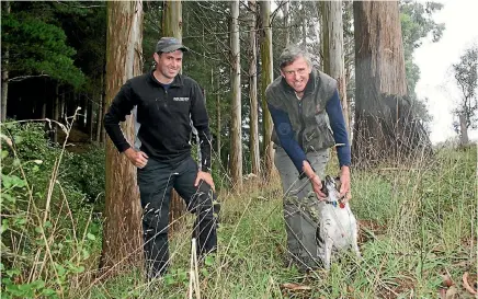  ?? PHOTO: ROB TIPA ?? The new president of the New Zealand Farm Forestry Associatio­n Neil Cullen with his son Simon and dog Murphy in a stand of eucalypts on the family’s Glenmore Farm in the Glenomaru Valley near Owaka.