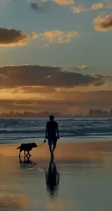  ??  ?? Left: Sunset at Currumbin Beach. Below: A mother kangaroo and her adorable joey peering out at the world.