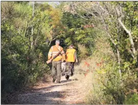  ?? (Photo d’illustrati­on Hélène Dos Santos) ?? Une quinzaine de chasseurs participai­ent à une battue réglementa­ire déclarée.