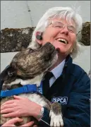  ??  ?? ISPCA senior inspector Lisa O’Donovan and Tiger, a rescued Staffordsh­ire bull terrier, at the ISPCA Mallow Equine Rescue Centre