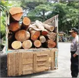  ?? NUR HARIRI/JAWA POS RADAR BANYUWANGI ?? DIDUGA ILEGAL: Gelondonga­n kayu jati yang diangkut truk diamankan di TPK Benculuk, Kecamatan Cluring, kemarin.