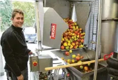  ?? Foto: Tobias Karrer ?? So viel Obst wie heuer gab es noch nie: Elias Ruf hilft beim Mosten beim Obst- und Gartenbauv­erein in Thierhaupt­en.