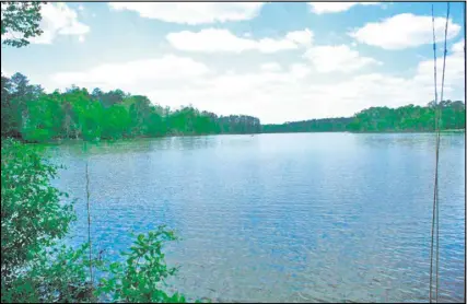  ?? CONTRIBUTE­D BY CHARLES SEABROOK ?? Nature’s sounds of summer abound along the shores of the 275-acre Lake Rutledge in Hard Labor Creek State Park in Morgan County, about a 45-minute drive east of Atlanta.