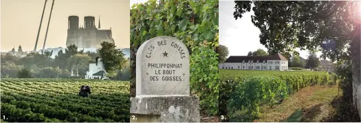  ??  ?? 1. 2. 3.
1. Le Clos Lanson : sous le regard des tours de la cathédrale de Reims, un hectare de chardonnay prospère sur le terroir très crayeux de ce jardin de ville. 2. Propriété de la famille Philipponn­at, le Clos des Goisses se partage entre pinot noir (70 %) et chardonnay sur le meilleur coteau de Mareuil-sur-Ay. 3. Le Clos des Belvals (1,20 hectare), à Vertus, a été créé par Dominique Person il y a onze ans. Son blanc de blancs est issu de vieilles vignes cultivées en biodynamie.