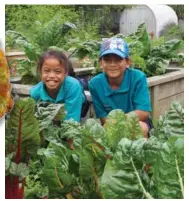  ??  ?? Enviro team members, Selesa and Jacinta are proud of the Rainbow Silver beet in their garden at Dawson Primary