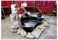  ?? TY GREENLEES / STAFF ?? Kristen
Lauer from the Montgomery County Soil and Water Conservati­on District builds a wetlands plant display in the Roundhouse.