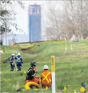  ?? DARRYL DYCK/THE CANADIAN PRESS ?? Flags mark a location for the expansion of the Trans Mountain Pipeline, in Burnaby, B.C. The project must now study the effect of shipping routes on orca whales.