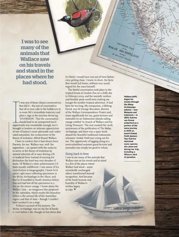  ??  ?? Wallace ( left) began his travels through the Malay Archipelag­o ( above) – now Malaysia and Indonesia – in 1854. Katrina van Grouw embarked on a portion of the same journey in 2019 on board Ombak Putih ( below). Top: Katrina sketched some species she observed during her trip, including a Wilson’s bird of paradise.