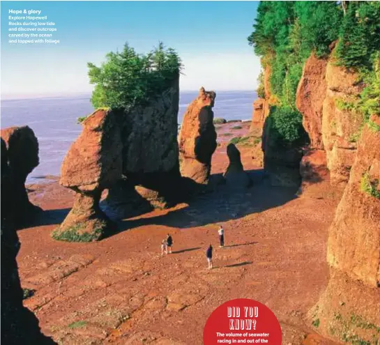  ??  ?? Hope & glory Explore Hopewell Rocks during low tide and discover outcrops carved by the ocean and topped with foliage