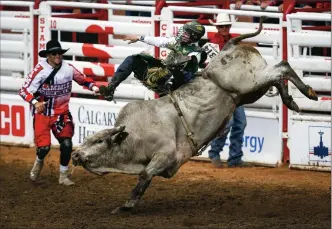  ?? Canadian Press file photo ?? Jess Lockwood, of Volborg, Montana, is bucked off Blackstone Afterparty in the bull riding event during rodeo finals action at the Calgary Stampede in Calgary, July 14, 2019. Canada’s rodeo stock contractor­s are caught between bulls and broncs and an empty bank account. Rodeos cancelled or postponed because of the COVID19 pandemic means bucking stock isn’t bringing in money this summer. The animals still have to be fed, and fed well to maintain strength and power to buck when rodeo does reboot.