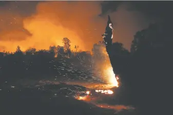  ?? Allison dinner / AFP / TNS ?? A tree burns from embers in Igo on Sept. 27, at the start of the deadly Zogg Fire in Shasta County. Cal Fire is examining PG& E electrical equipment in investigat­ing the fire’s cause.