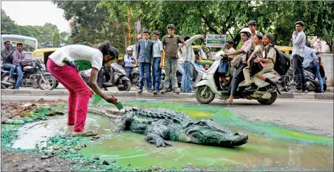  ?? AFP ?? Artist Baadal Nanjundasw­amy paints and places a life-size model of a crocodile into a huge water-logged pothole as he creates a temporary art installati­on on a road at Bangalore’s Sultanpaly­a traffic junction on Saturday. Baadal’s installati­on aimed to...
