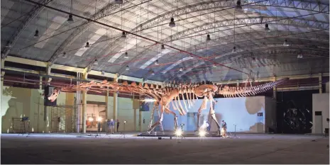  ?? DIEGO POL DIEGO POL ?? A cast of the skeleton of Patagotita­n is mounted in the exhibition center of Trelew, Argentina, the city that is home to the Egidio Feruglio Museum, where the actual bones are stored. The newly discovered dinosaur is the heftiest land animal ever.