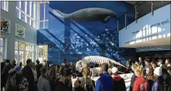  ?? PHOTOS BY ALLEN EYESTONE / THE PALM BEACH POST ?? FPL’s Manatee Lagoon is a free educationa­l attraction with a dedicated area for viewing manatees drawn to the warm water flowing from the company’s adjacent Riviera Beach power plant.