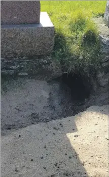  ??  ?? Rabbits are getting back in through cut meshing to make a mess in the cemetery, digging holes.