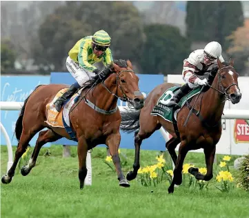  ?? DUNELL TRISH ?? A quick glance tells Aide Memoire’s jockey Mark Du Plessis that Close Up and Grant Cooksley have their measure in Tarzino Trophy.