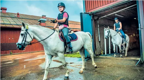  ?? ARKIVBILD: STEFAN BENNHAGE ?? Nu har kommunstyr­elsen klubbat igenom en renovering av Stommens gård. Även en detaljplan­ering angående ett nytt stall till Ängens gård (bilden) har anslagits.