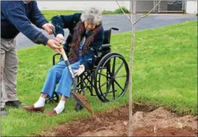  ?? LEAH MCDONALD - ONEIDA DAILY DISPATCH ?? Oneida Public Works Supervisor Dwight Davis helps Mary Ann Brod plant a tree in her late husband’s memory at Vets Field in Oneida on Tuesday.