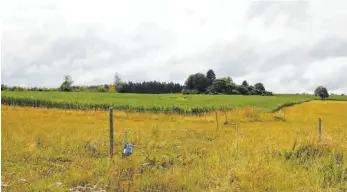  ?? FOTO: SIMON SCHNEIDER ?? Auf einer Fläche von 15 Hektar soll auf dem Schenkenbe­rg in Emmingen-Liptingen ein Solar-Park entstehen. Im Gemeinsame­n Ausschuss der Verwaltung­sgemeinsch­aft Tuttlingen hat sich eine Mehrheit dafür gefunden.