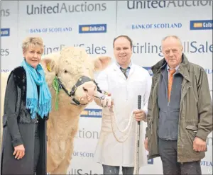  ?? Picture: Louis Flood. ?? Maerdy Ignition from Mr DE Evans sold for the week’s top price of 22,000gns. The bull with stockman Tudur Edwards and breeders Esmor Evans and Iorwen Jones.