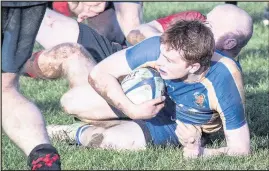  ??  ?? Pictures of Market Bosworth RFC in action in their 25-7 victory over Pinley. Pictures by Susanne Mustin