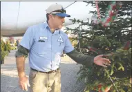  ??  ?? Delta Tree Farms nurseryman Dave Davis talks about a potted Colorado spruce, at the Lodi business on Wednesday.