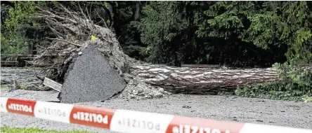  ?? BILD: SN/APA/ERWIN SCHERIAU ?? Im Grazer Stadtpark wurde ein 26-Jähriger durch eine massive, umgestürzt­e Fichte getötet.