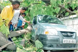  ?? DC ?? A GHMC official removes trees which fell on a car at Palace Colony in Basheer Bagh on Friday. Heavy winds followed by downpour had hit the city on Thursday. —