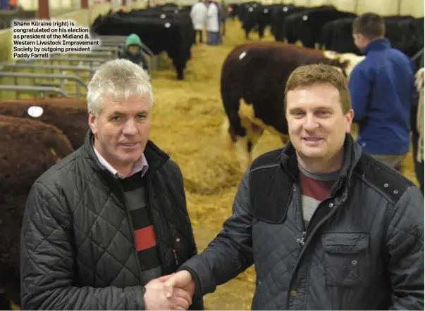  ??  ?? Shane Kilraine (right) is congratula­ted on his election as president of the Midland & Western Livestock Improvemen­t Society by outgoing president Paddy Farrell