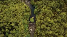  ??  ?? The Whanganui River as seen from a drone. The Māori tribes that live along the waterway have always seen it as sacred. Photograph: Jeremy Lugio/The Guardian