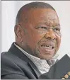  ??  ?? BLADE NZIMANDE