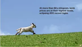  ??  ?? At more than $8 a kilogram, lamb prices are at their highest levels, eclipsing 2011 record highs.