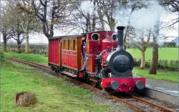  ??  ?? The recreation of the last Talyllyn train under Sir Haydn Jones’ ownership eases through Rhydyronen on November 9, 2020. (Max Birchenoug­h)