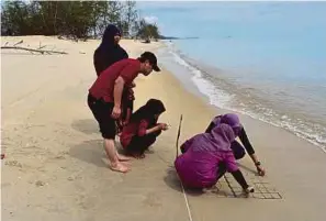  ??  ?? Researcher­s from the MRIG group collecting samples in the beach sediment.