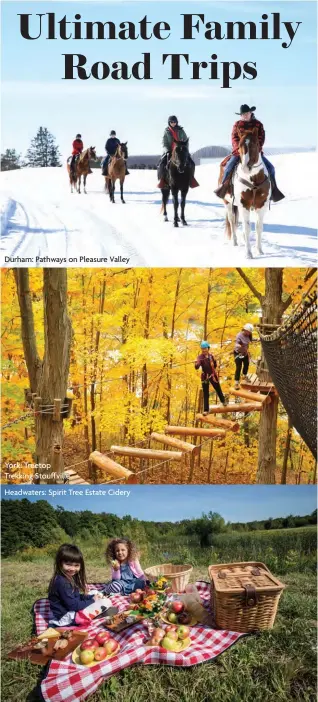  ??  ?? Durham: Pathways on Pleasure Valley York: Treetop Trekking Stouffvill­e
Headwaters: Spirit Tree Estate Cidery