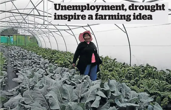  ?? /SUPPLIED ?? Hlaleleni Buthelezi shows off the Ixhiba cooperativ­e’s crops grown via hydroponic­s method in Mbali, Pietermari­tzburg.