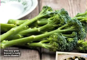  ??  ?? This easy-grow broccoli is really rich in Vitamin C