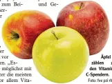  ?? Foto: fve pzi rho ?? Äpfel zählen zu den Vitamin C Spendern.